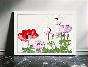 Πίνακας, Poppy flower, Japanese woodblock art