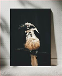 Πίνακας, Portrait of a Bird Πορτρέτο ενός πουλιού