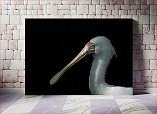 Πίνακας, Portrait of a Bird with a Dark Background Πορτρέτο ενός πουλιού με σκοτεινό φόντο