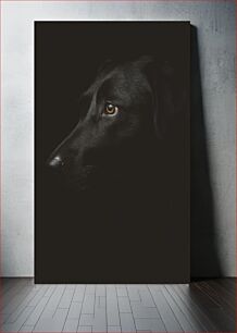 Πίνακας, Portrait of a Black Dog Πορτρέτο ενός μαύρου σκύλου