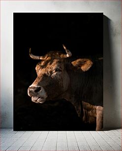 Πίνακας, Portrait of a Bull in Low Light Πορτρέτο ενός ταύρου σε χαμηλό φως