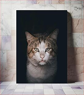 Πίνακας, Portrait of a Cat Πορτρέτο μιας γάτας