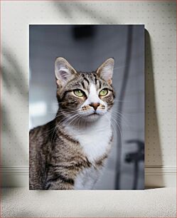 Πίνακας, Portrait of a Cat Πορτρέτο μιας γάτας