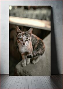 Πίνακας, Portrait of a Cat Πορτρέτο μιας γάτας