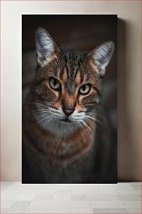 Πίνακας, Portrait of a Cat Πορτρέτο μιας γάτας