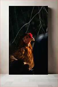 Πίνακας, Portrait of a Chicken Πορτρέτο ενός κοτόπουλου