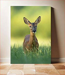 Πίνακας, Portrait of a Deer Πορτρέτο ενός ελαφιού