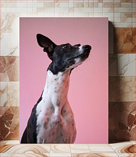 Πίνακας, Portrait of a Dog with Pink Background Πορτρέτο ενός σκύλου με ροζ φόντο