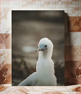 Πίνακας, Portrait of a Fluffy Bird Πορτρέτο ενός χνουδωτού πουλιού