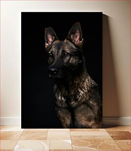 Πίνακας, Portrait of a German Shepherd Πορτρέτο ενός Γερμανικού Ποιμενικού