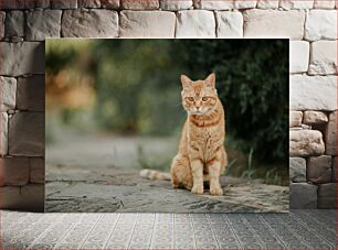 Πίνακας, Portrait of a Ginger Cat Πορτρέτο μιας γάτας τζίντζερ