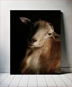Πίνακας, Portrait of a Goat Πορτρέτο μιας κατσίκας