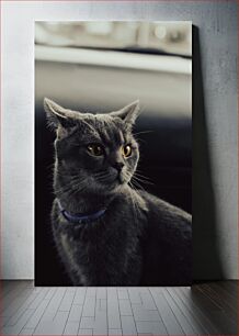 Πίνακας, Portrait of a Gray Cat Πορτρέτο μιας γκρίζας γάτας