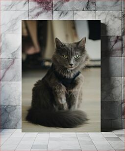 Πίνακας, Portrait of a Grey Cat Πορτρέτο μιας γκρίζας γάτας