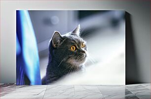 Πίνακας, Portrait of a Grey Cat Πορτρέτο μιας γκρίζας γάτας