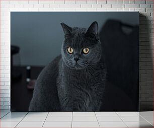 Πίνακας, Portrait of a Grey Cat Πορτρέτο μιας γκρίζας γάτας