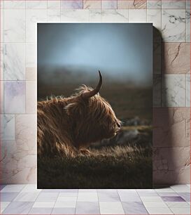 Πίνακας, Portrait of a Highland Cow Πορτρέτο μιας αγελάδας Highland