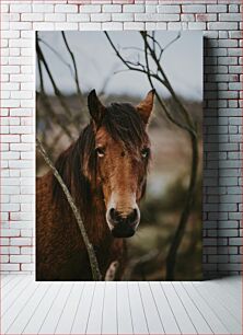 Πίνακας, Portrait of a Horse in Nature Πορτρέτο ενός αλόγου στη φύση