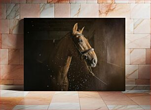 Πίνακας, Portrait of a Horse in Stable Πορτρέτο ενός αλόγου στο στάβλο