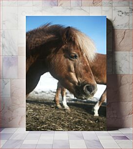 Πίνακας, Portrait of a Horse Πορτρέτο ενός αλόγου