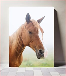 Πίνακας, Portrait of a Horse Πορτρέτο ενός αλόγου