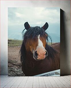 Πίνακας, Portrait of a Horse Πορτρέτο ενός αλόγου