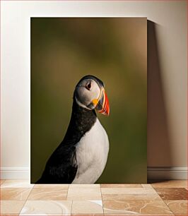 Πίνακας, Portrait of a Puffin Πορτρέτο ενός Puffin