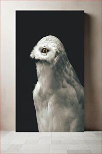Πίνακας, Portrait of a Snowy Owl Πορτρέτο μιας χιονισμένης κουκουβάγιας