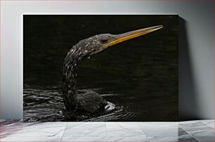 Πίνακας, Portrait of a Waterbird Πορτρέτο ενός υδρόβιου πτηνού