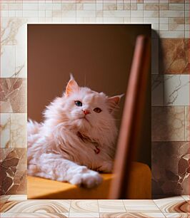 Πίνακας, Portrait of a White Cat Πορτρέτο μιας λευκής γάτας