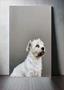 Πίνακας, Portrait of a White Dog Πορτρέτο ενός λευκού σκύλου