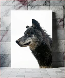 Πίνακας, Portrait of a Wolf Πορτρέτο ενός λύκου