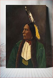 Πίνακας, Portrait of an American Indian