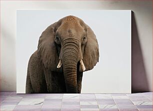 Πίνακας, Portrait of an Elephant Πορτρέτο ενός ελέφαντα