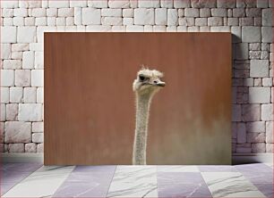 Πίνακας, Portrait of an Ostrich Πορτρέτο στρουθοκαμήλου