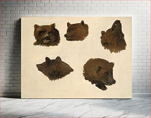 Πίνακας, Portraits of Two Grizzly Bears, From Life (1839–1840) by George Catlin