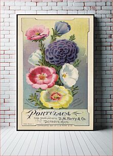 Πίνακας, Portulaca, from seeds put up by D. M. Ferry & Co., Detroit, Mich