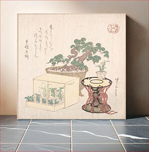 Πίνακας, Potted Pine Tree Drum and Seven Herbs Planted in a Box