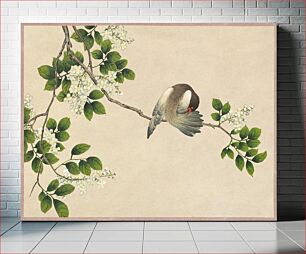 Πίνακας, Preening Bird (18th Century) by Zhang Ruoai