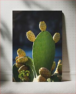 Πίνακας, Prickly Pear Cactus Κάκτος Φραγκόσυκο