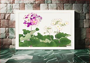 Πίνακας, Primrose flower, Japanese woodblock art