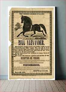 Πίνακας, Printed by Central Missourian, California, Mo.Title: Stud horse poster offering Bill Alexander, with cut of stallion, March 20, 1868