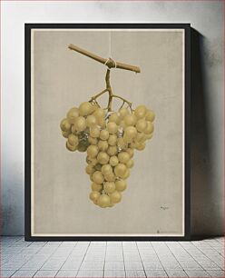 Πίνακας, Prize golden Hamburg grapes