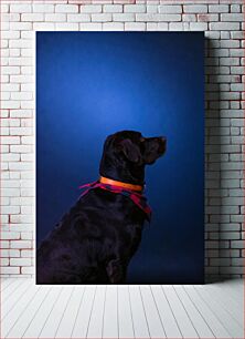Πίνακας, Profile of a Black Dog Προφίλ ενός μαύρου σκύλου
