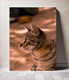 Πίνακας, Profile of a Cat Προφίλ μιας γάτας