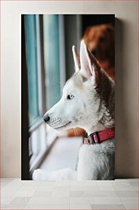 Πίνακας, Profile of a Dog by the Window Προφίλ ενός σκύλου δίπλα στο παράθυρο