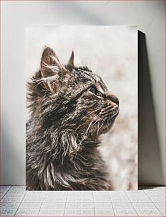 Πίνακας, Profile of a Fluffy Cat Προφίλ μιας χνουδωτής γάτας