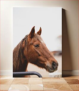 Πίνακας, Profile of a Horse Προφίλ ενός αλόγου