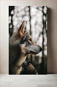 Πίνακας, Profile of a Wolf in the Forest Προφίλ ενός λύκου στο δάσος