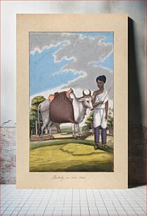 Πίνακας, Puckaly in Moor Cast, from Indian Trades and Castes by Anonymous, Indian, 19th century